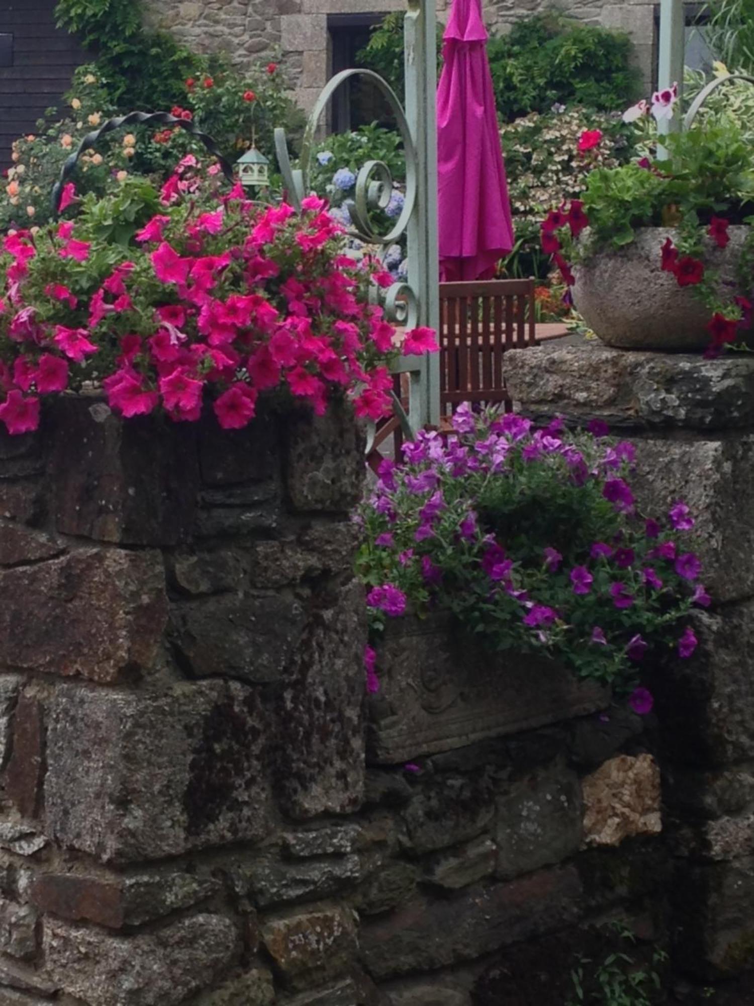 Le Petit Chateau, Matisse Noyal-Pontivy 외부 사진